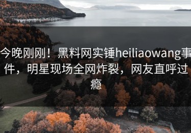 今晚刚刚！黑料网实锤heiliaowang事件，明星现场全网炸裂，网友直呼过瘾