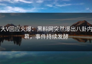 大V回应火爆：黑料网突然爆出八卦内幕，事件持续发酵
