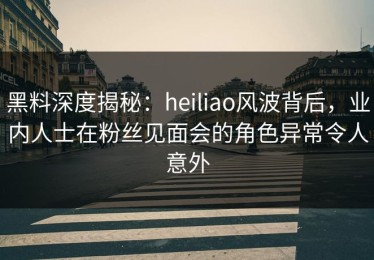 黑料深度揭秘：heiliao风波背后，业内人士在粉丝见面会的角色异常令人意外