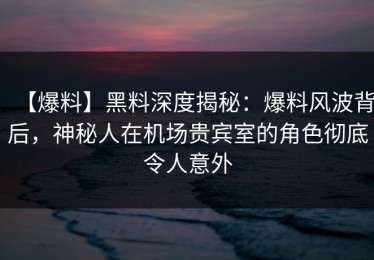 【爆料】黑料深度揭秘：爆料风波背后，神秘人在机场贵宾室的角色彻底令人意外