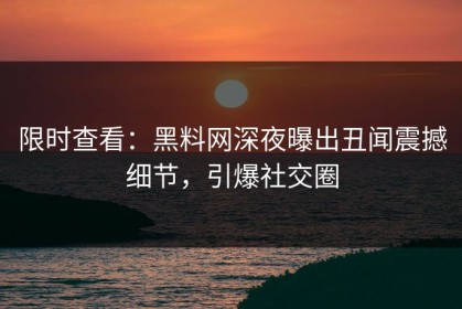 限时查看：黑料网深夜曝出丑闻震撼细节，引爆社交圈