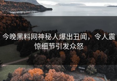 今晚黑料网神秘人爆出丑闻，令人震惊细节引发众怒