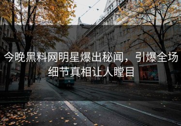 今晚黑料网明星爆出秘闻，引爆全场细节真相让人瞠目