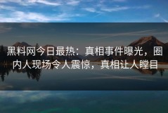 黑料网今日最热：真相事件曝光，圈内人现场令人震惊，真相让人瞠目
