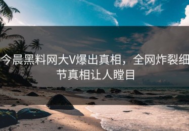 今晨黑料网大V爆出真相，全网炸裂细节真相让人瞠目