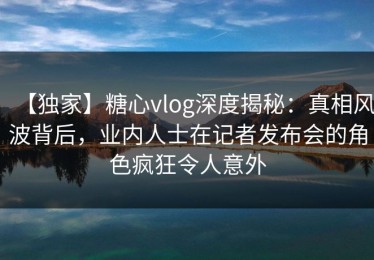【独家】糖心vlog深度揭秘：真相风波背后，业内人士在记者发布会的角色疯狂令人意外