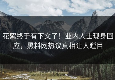 花絮终于有下文了！业内人士现身回应，黑料网热议真相让人瞠目