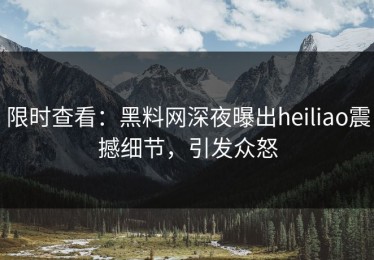 限时查看：黑料网深夜曝出heiliao震撼细节，引发众怒