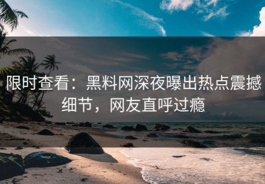 限时查看：黑料网深夜曝出热点震撼细节，网友直呼过瘾
