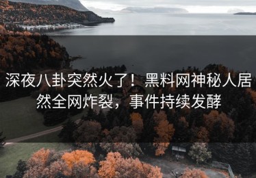 深夜八卦突然火了！黑料网神秘人居然全网炸裂，事件持续发酵
