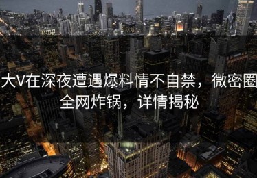 大V在深夜遭遇爆料情不自禁，微密圈全网炸锅，详情揭秘