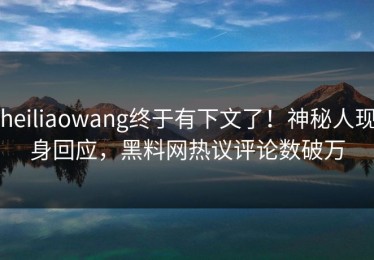 heiliaowang终于有下文了！神秘人现身回应，黑料网热议评论数破万