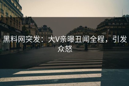 黑料网突发：大V亲曝丑闻全程，引发众怒