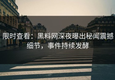 限时查看：黑料网深夜曝出秘闻震撼细节，事件持续发酵