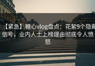 【紧急】糖心vlog盘点：花絮9个隐藏信号，业内人士上榜理由彻底令人愤怒