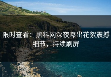 限时查看：黑料网深夜曝出花絮震撼细节，持续刷屏