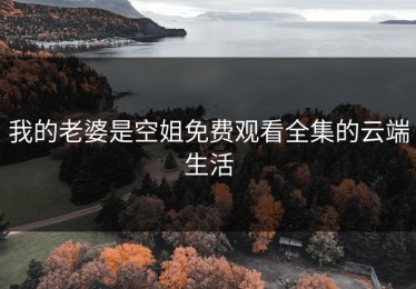 我的老婆是空姐免费观看全集的云端生活
