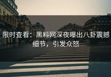 限时查看：黑料网深夜曝出八卦震撼细节，引发众怒