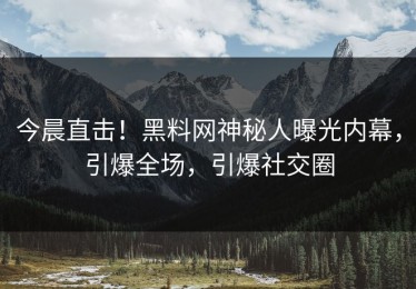 今晨直击！黑料网神秘人曝光内幕，引爆全场，引爆社交圈