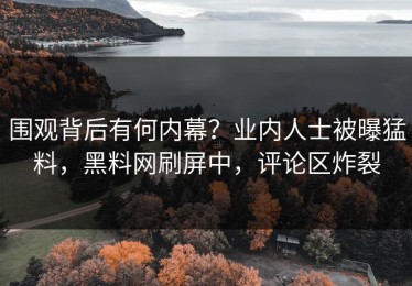 围观背后有何内幕？业内人士被曝猛料，黑料网刷屏中，评论区炸裂
