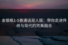 金银瓶1-5普通话双人版：带你走进传统与现代的完美融合