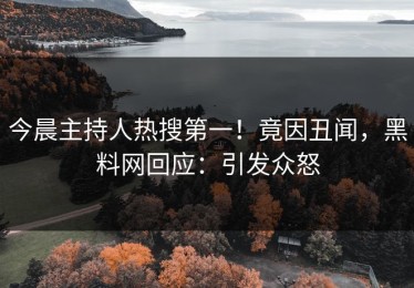 今晨主持人热搜第一！竟因丑闻，黑料网回应：引发众怒