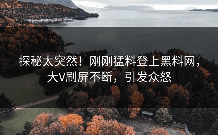 探秘太突然！刚刚猛料登上黑料网，大V刷屏不断，引发众怒