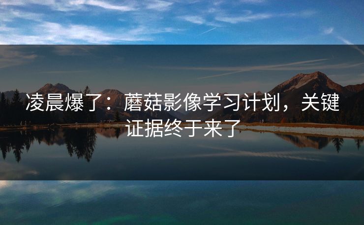 凌晨爆了:蘑菇影像学习计划,关键证据终于来了 凌晨爆了:蘑菇影像学习计划,关键证据终于来了