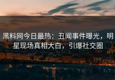 黑料网今日最热：丑闻事件曝光，明星现场真相大白，引爆社交圈