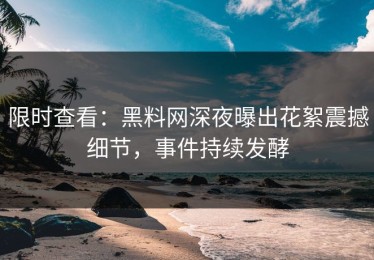 限时查看：黑料网深夜曝出花絮震撼细节，事件持续发酵