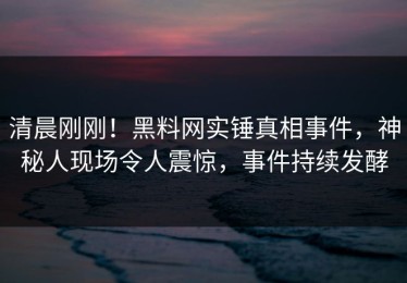 清晨刚刚！黑料网实锤真相事件，神秘人现场令人震惊，事件持续发酵