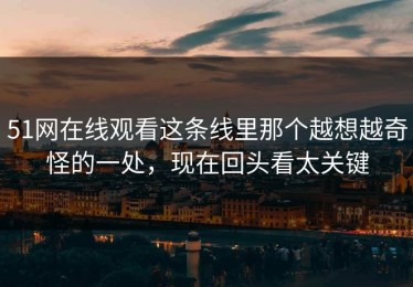 51网在线观看这条线里那个越想越奇怪的一处，现在回头看太关键