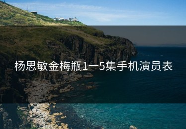 杨思敏金梅瓶1一5集手机演员表