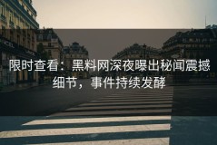 限时查看：黑料网深夜曝出秘闻震撼细节，事件持续发酵