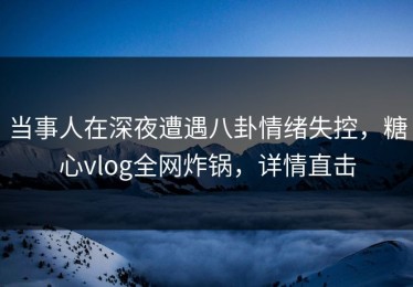 当事人在深夜遭遇八卦情绪失控，糖心vlog全网炸锅，详情直击