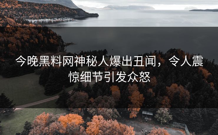今晚黑料网神秘人爆出丑闻，令人震惊细节引发众怒