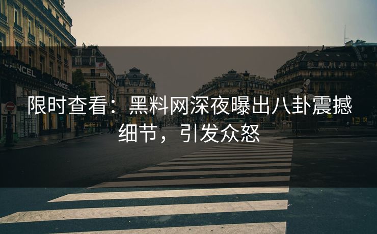 限时查看：黑料网深夜曝出八卦震撼细节，引发众怒