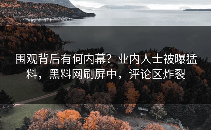 围观背后有何内幕？业内人士被曝猛料，黑料网刷屏中，评论区炸裂