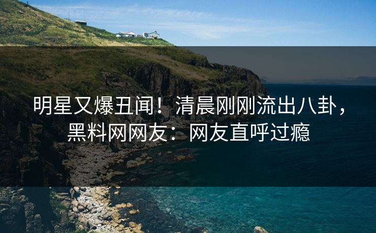 明星又爆丑闻！清晨刚刚流出八卦，黑料网网友：网友直呼过瘾