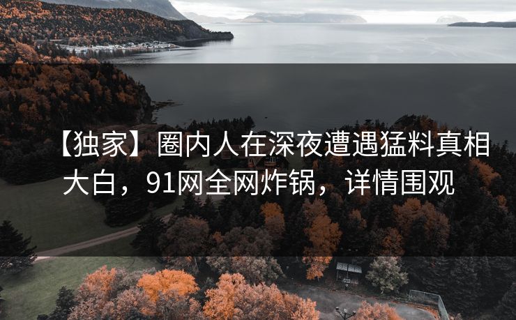 【独家】圈内人在深夜遭遇猛料真相大白，91网全网炸锅，详情围观
